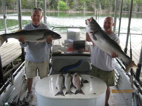 Nice Striped Bass